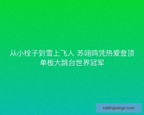 从小栓子到雪上飞人 苏翊鸣凭热爱登顶单板大跳台世界冠军