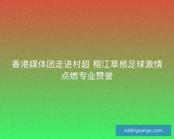 香港媒体团走进村超 榕江草根足球激情点燃专业赞誉